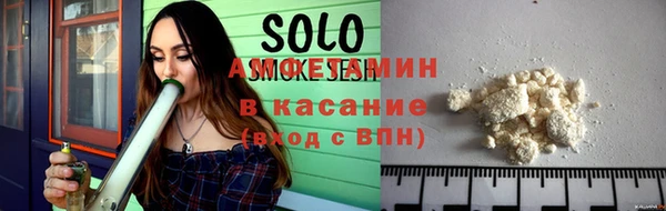 соль ск Дмитриев