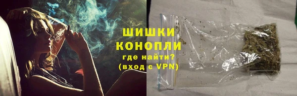 соль ск Дмитриев