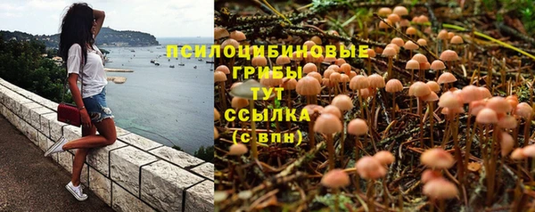метамфетамин Дмитров