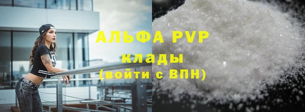 шишки Сясьстрой