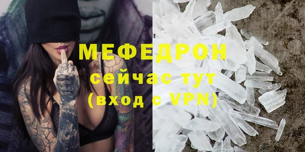 соль ск Дмитриев