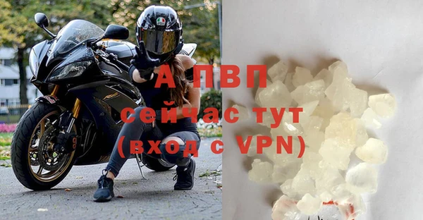 соль ск Дмитриев