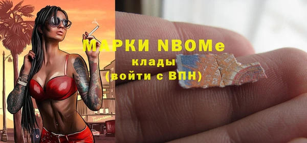 соль ск Дмитриев